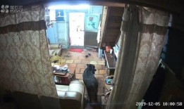 广东普宁爆料新闻视频,视频揭露惊人真相，引发社会关注